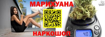 индика Можга