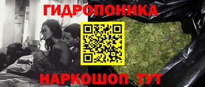 индика Можга