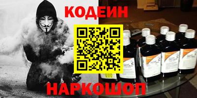 индика Можга