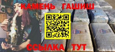 индика Можга