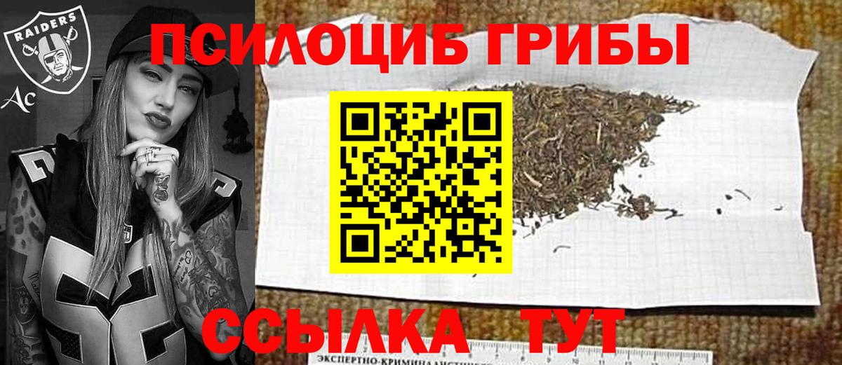 Псилоцибиновые грибы Psilocybe Сертолово